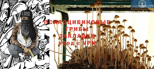 марки nbome Кукмор