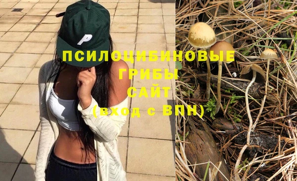 ECSTASY Кулебаки