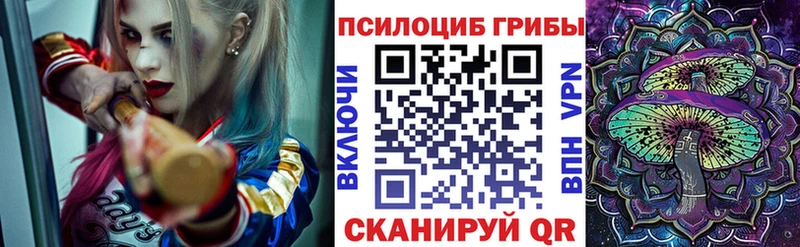 Купить  Котово  Псилоцибиновые грибы прущие грибы 